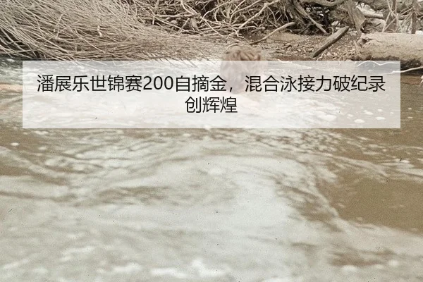 潘展乐世锦赛200自摘金，混合泳接力破纪录创辉煌