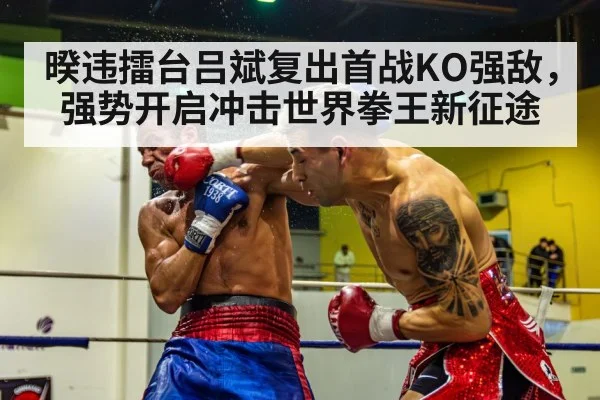 暌违擂台吕斌复出首战KO强敌，强势开启冲击世界拳王新征途
