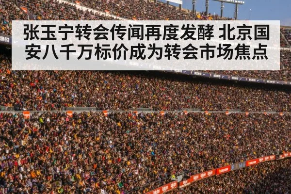 football stadium crowd