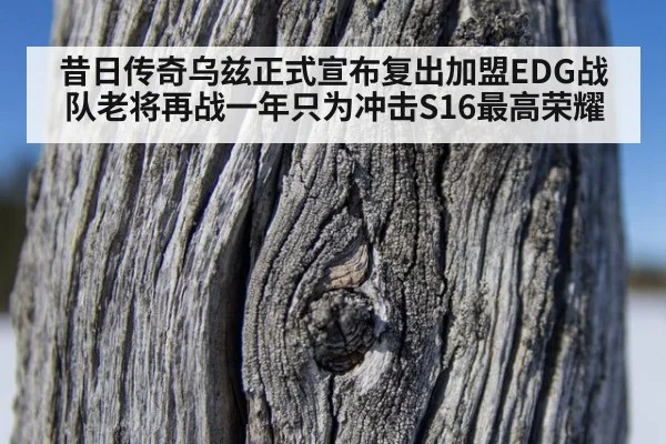 昔日传奇乌兹正式宣布复出加盟EDG战队老将再战一年只为冲击S16最高荣耀